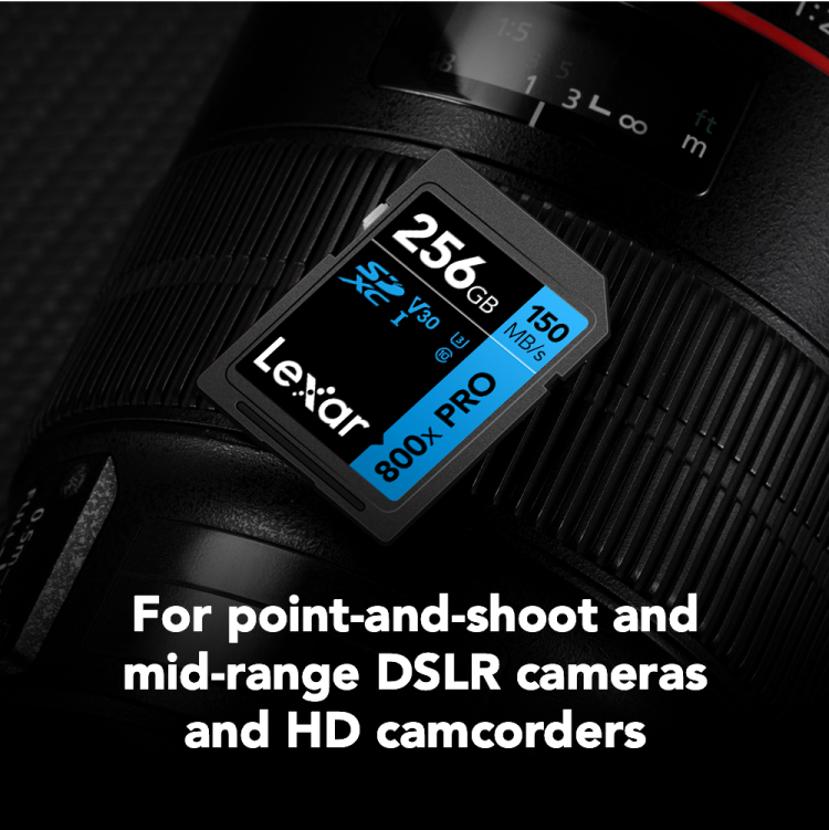  Lexar 256GB High-Performance 800x PRO SDHC/SDXC UHS-I Card BLUE Series